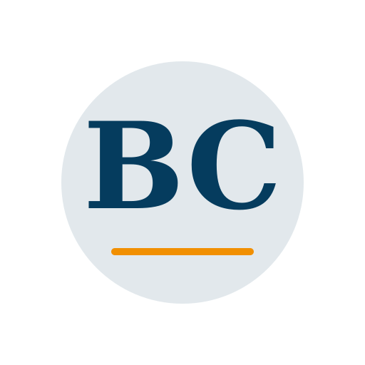 Brmer Chimney Repair logo